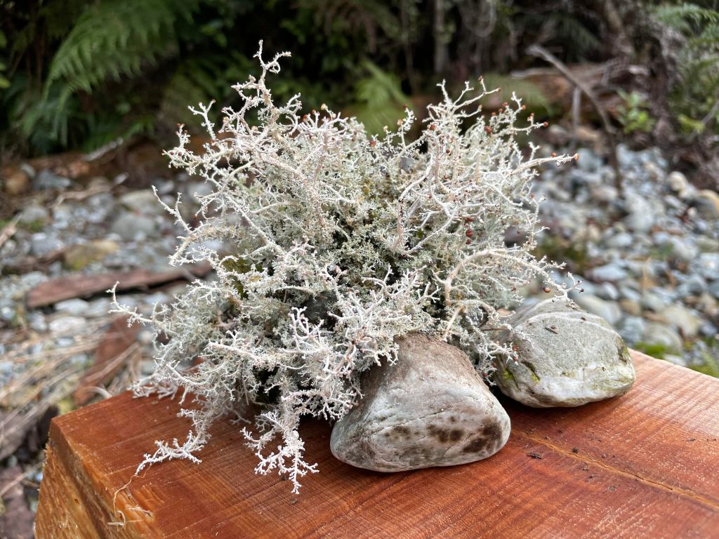 How motel stays forced us to see the shut’s&nbsp;potential