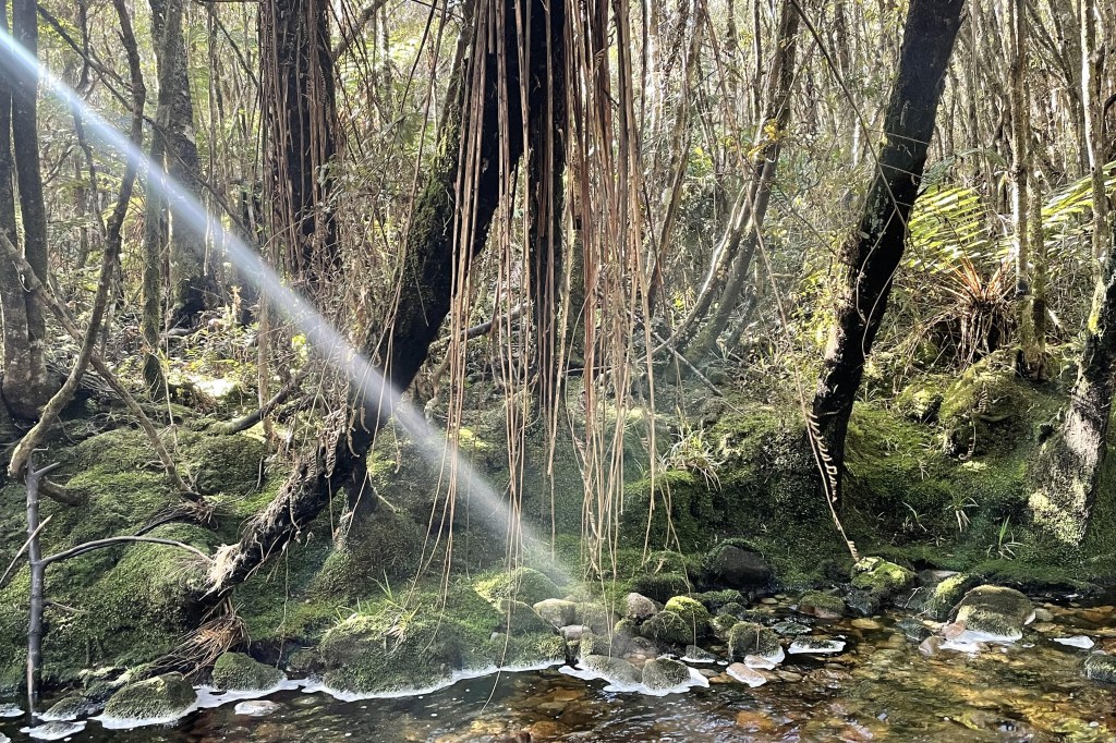 Catching the sky: Our water harvesting&nbsp;journey