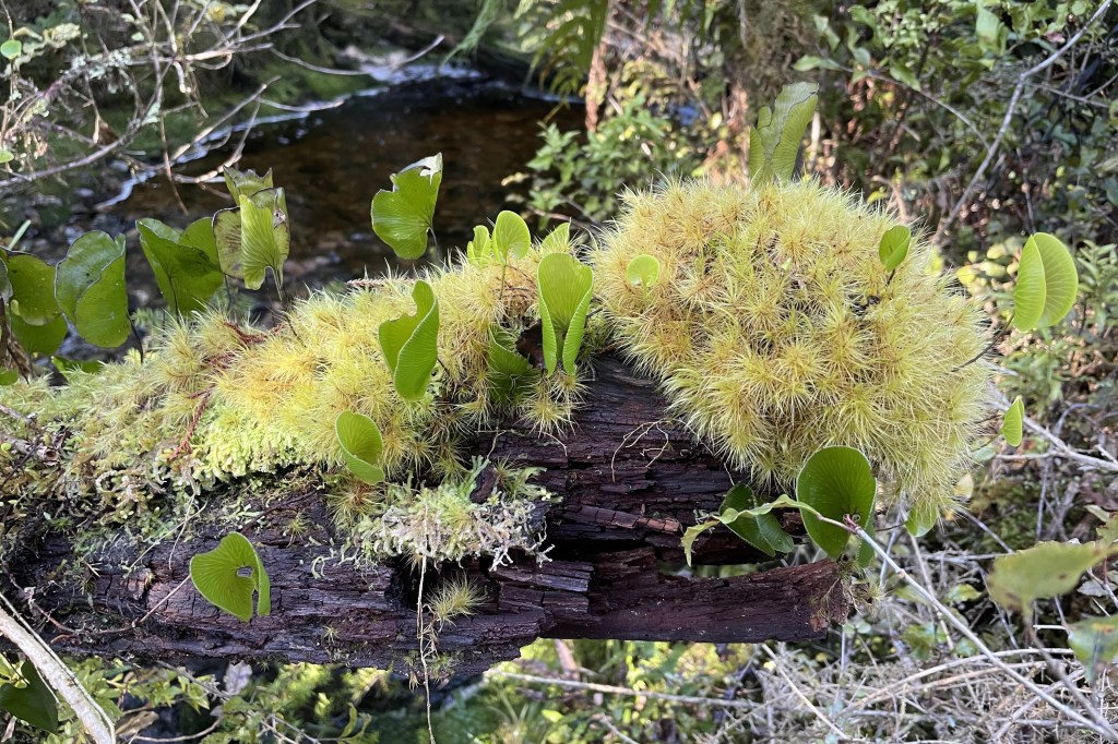 Winter-proofing the Shut: How a Mini Meg changed&nbsp;everything